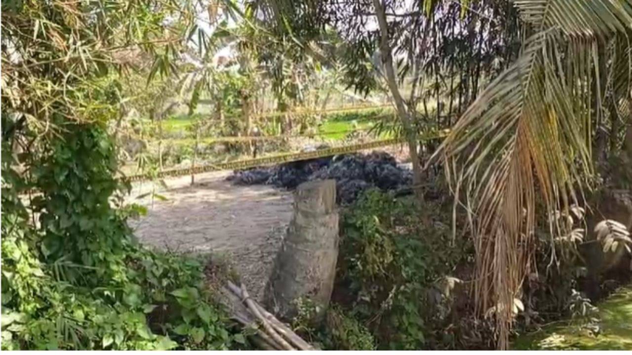 Falta: মাঠের মাঝখানে পুড়ছে ফসলের অবশিষ্টাংশ, কিন্তু নাকে আসে অচেনা বিকট গন্ধ... কাছে যেতেই শিউরে উঠলেন চাষিরা...