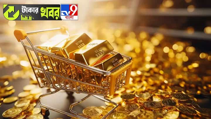 Return in Gold Investment: ৮ বছরে প্রায় ২০০ শতাংশ রিটার্ন, এই সোনা কিনেছিলেন আপনি? Return in Gold Investment: ৮ বছরে প্রায় ২০০ শতাংশ রিটার্ন, এই সোনা কিনেছিলেন আপনি?