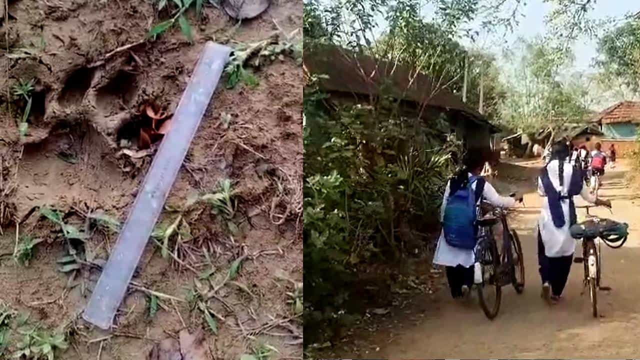 HS Exam: HS Exam: পাছে বাঘ খেয়ে ফেলে! এখন উচ্চমাধ্যমিক পরীক্ষার থেকে বড় ভয় রয়্যাল বেঙ্গল HS Exam: HS Exam: পাছে বাঘ খেয়ে ফেলে! এখন উচ্চমাধ্যমিক পরীক্ষার থেকে বড় ভয় রয়্যাল বেঙ্গল