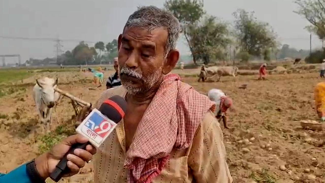 Potato Crisis: ‘জমি-সোনা সব বিক্রি করে দিতে হবে!’ কেন এত ভয় পাচ্ছেন বাংলার আলুচাষিরা?