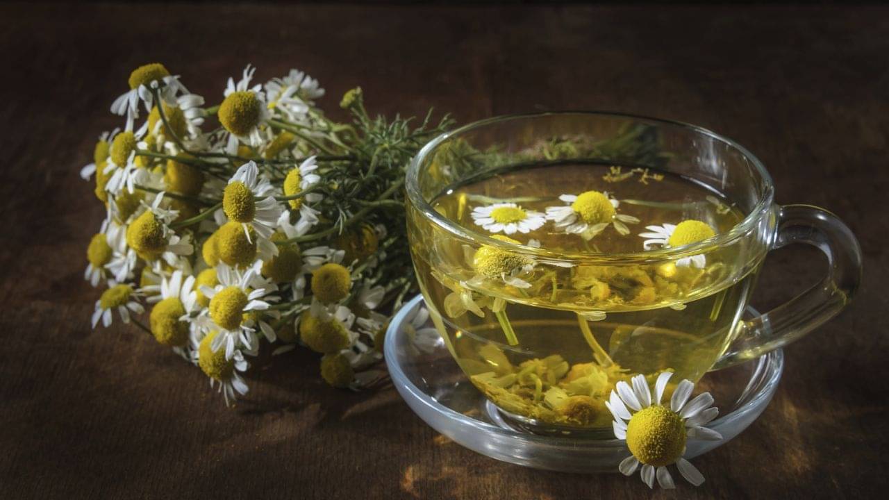 Weight Loss Tips: রাতে এ ভাবে পান করুন ভেষজ চা, পেটের মেদ হবে নিমেষে গায়েব!