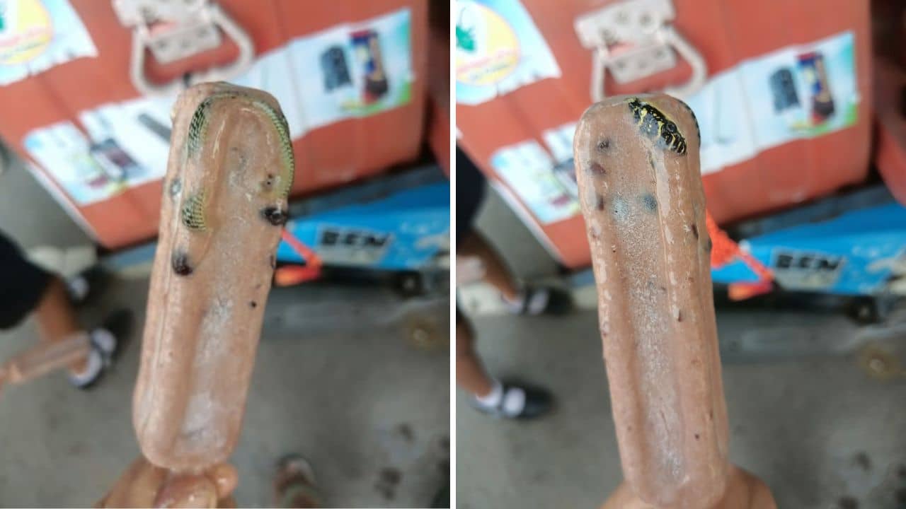 Bizarre: বড় চোখ, কালো মাথায় হলদেটে ছাপ! আইসক্রিমের মধ্যে ওটা কী? মুখে দিতেই চমকে গেলেন যুবক