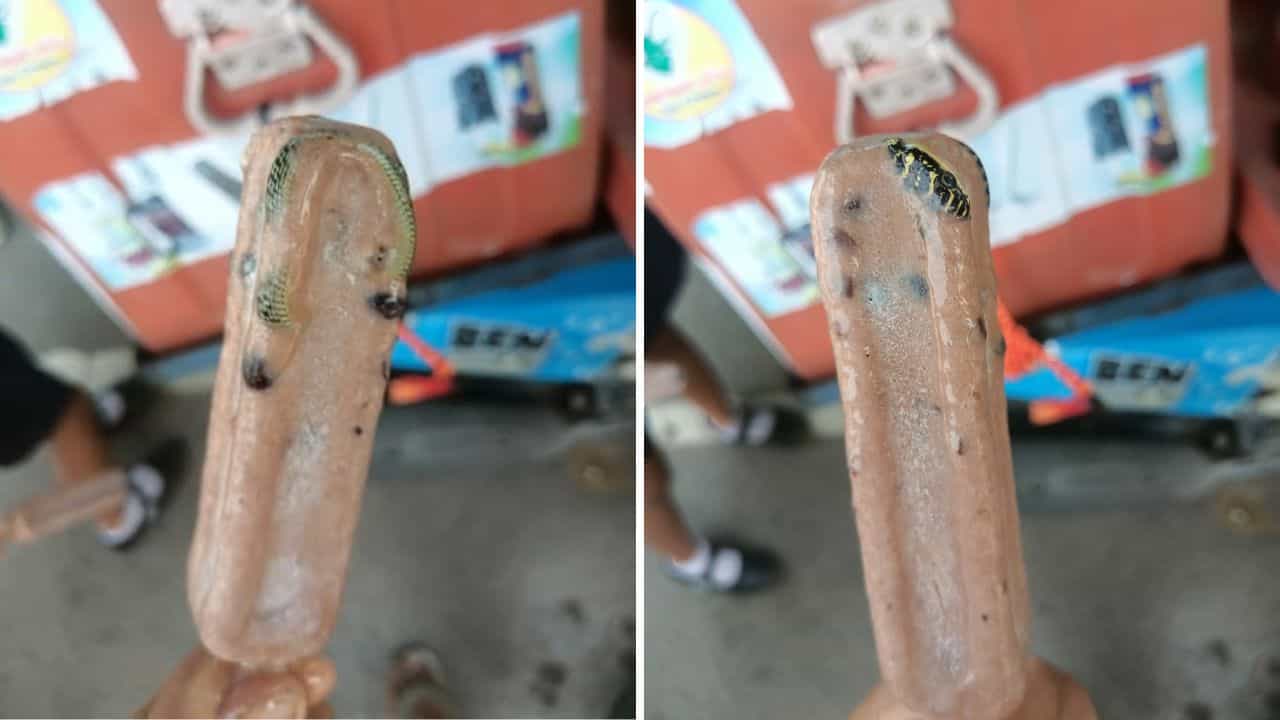 Bizarre: বড় চোখ, কালো মাথায় হলদেটে ছাপ! আইসক্রিমের মধ্যে ওটা কী? মুখে দিতেই চমকে গেলেন যুবক Bizarre: বড় চোখ, কালো মাথায় হলদেটে ছাপ! আইসক্রিমের মধ্যে ওটা কী? মুখে দিতেই চমকে গেলেন যুবক