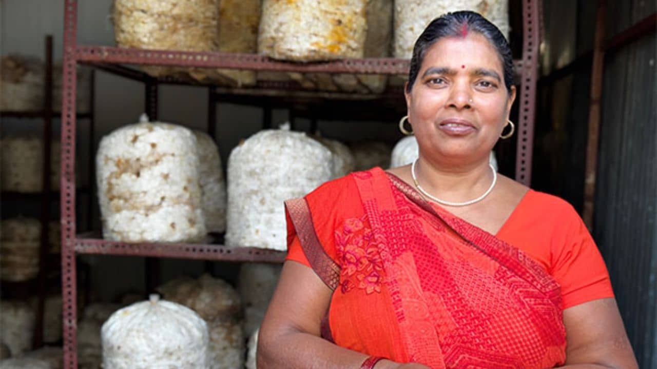 International Womens Day: আমি পারলে আপনিও পারবেন, মোদীর এক্স হ্যান্ডলে মহিলাদের বার্তা অনীতা দেবীর