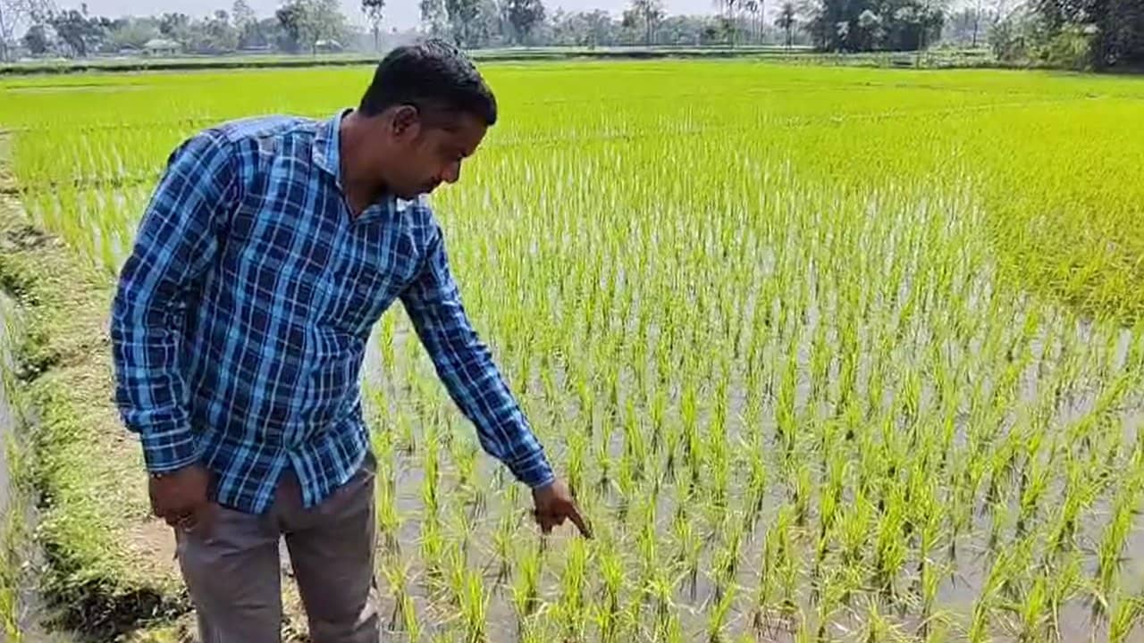 Jalpaiguri: টিভি-৯ বাংলার খবরের জেরে নড়েচড়ে বসল কৃষি দফতর, সার বিক্রেতাকে সঙ্গে নিয়ে চলল স্পট ভিজিট! তবু পিছু ছাড়ল না বিতর্ক