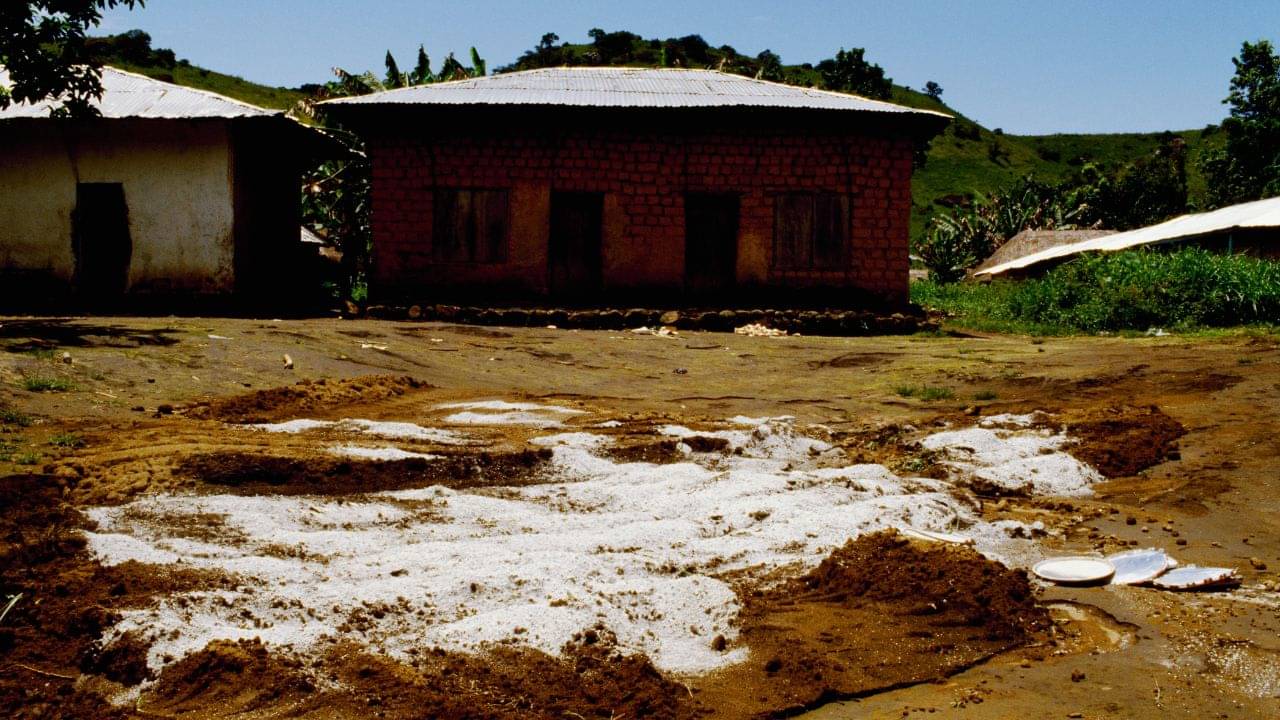 Lake Nyos disaster: মাত্র ২০ সেকেন্ড, কেড়ে নিল ৫০০০ বেশি প্রাণ! এক লহমায় কী ভাবে মৃত্যুপুরী হয়ে উঠেছিল গোটা গ্রাম?