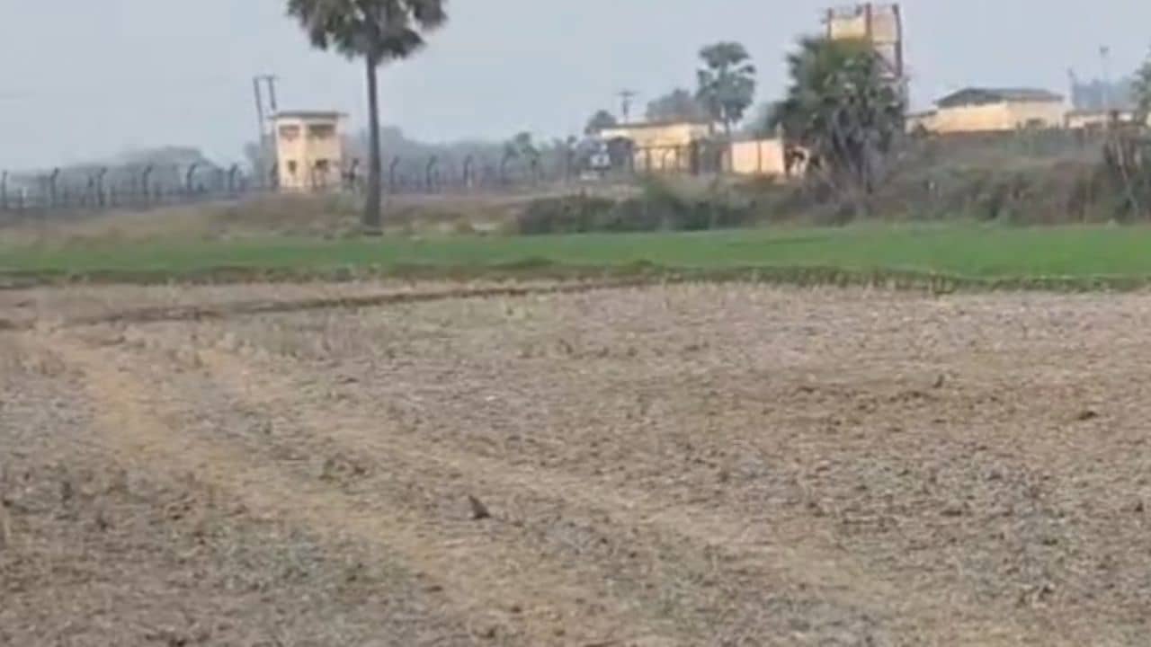 Balurghat: ফের বাধা দিচ্ছে বাংলাদেশ, খবর পেয়েই ছুটলেন বিএসএফ আধিকারিকরা