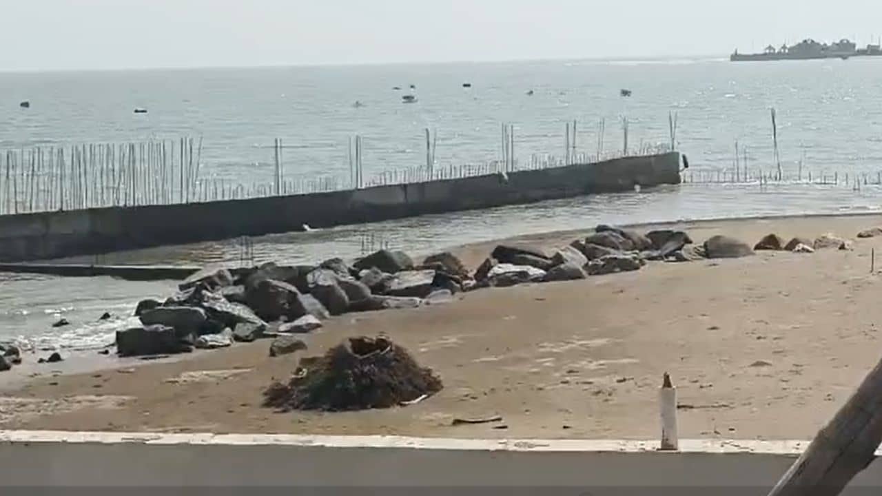 Digha-Tajpur: দিনের আলোয় দিঘা-তাজপুরে যা চলছে... আইনকে বুড়ো আঙুল দেখিয়ে এসব করছে কারা!