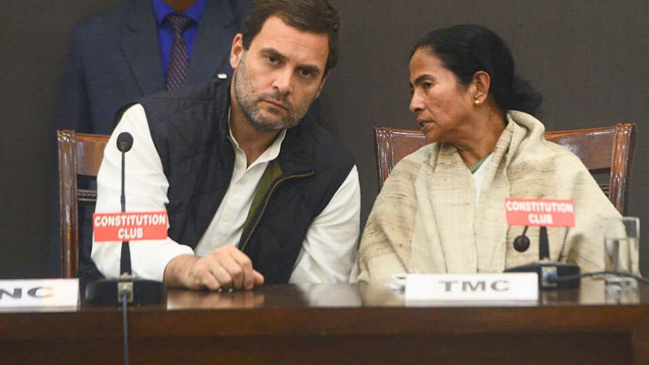 TMC-Congress: দিল্লিতে তৃণমূলকে পাশে নিয়ে চলবে কংগ্রেস, স্পষ্ট বুঝিয়ে দিলেন রাহুল গান্ধী