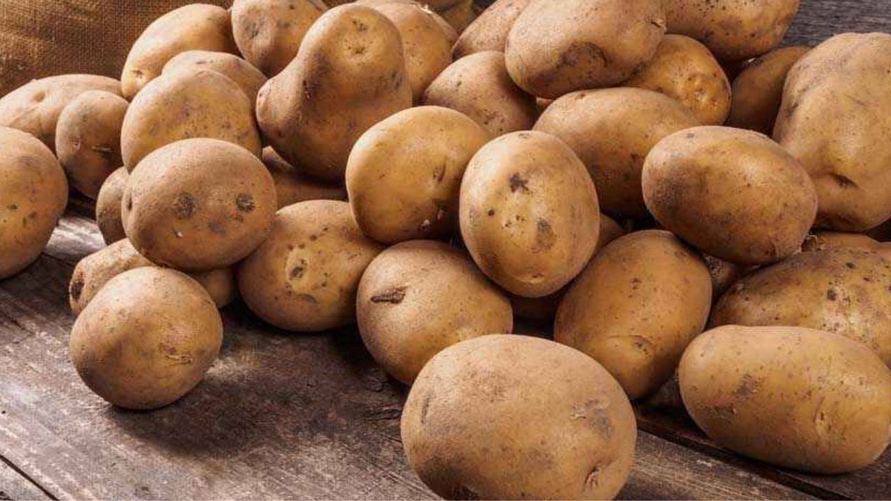Potato Farming: আলুর ফলন ভাল হওয়ার পরও নতুন বিপদে কৃষকরা, হয়রানি যেন শেষই হচ্ছে না!