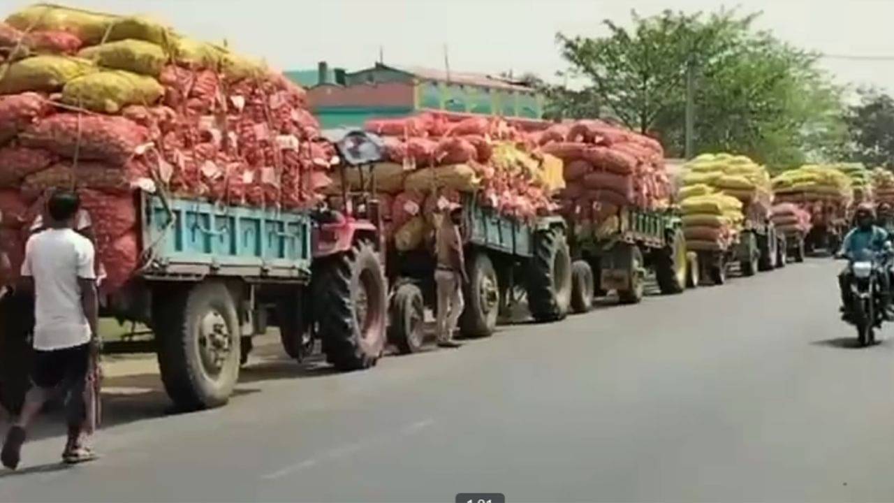 Potato: আলু বোঝাই ট্রাকের লম্বা লাইন! শান্তিনিকেতনে পৌঁছতে নাজেহাল পর্যটকরা, কেন এমন হাল