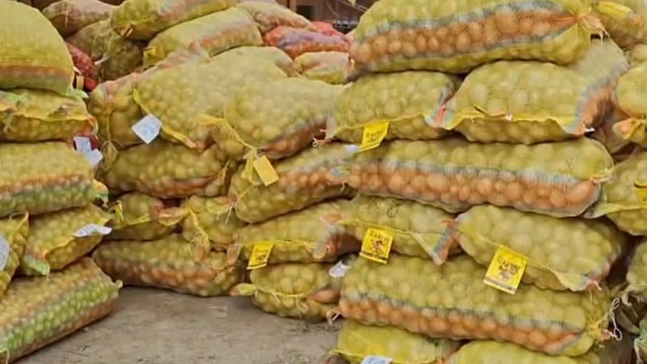 Potato Farming: বস্তায় বস্তায় লস, সরকারের দাম হিসেব করে মাথায় হাত চাষিদের, সংসার চলবে কী করে!