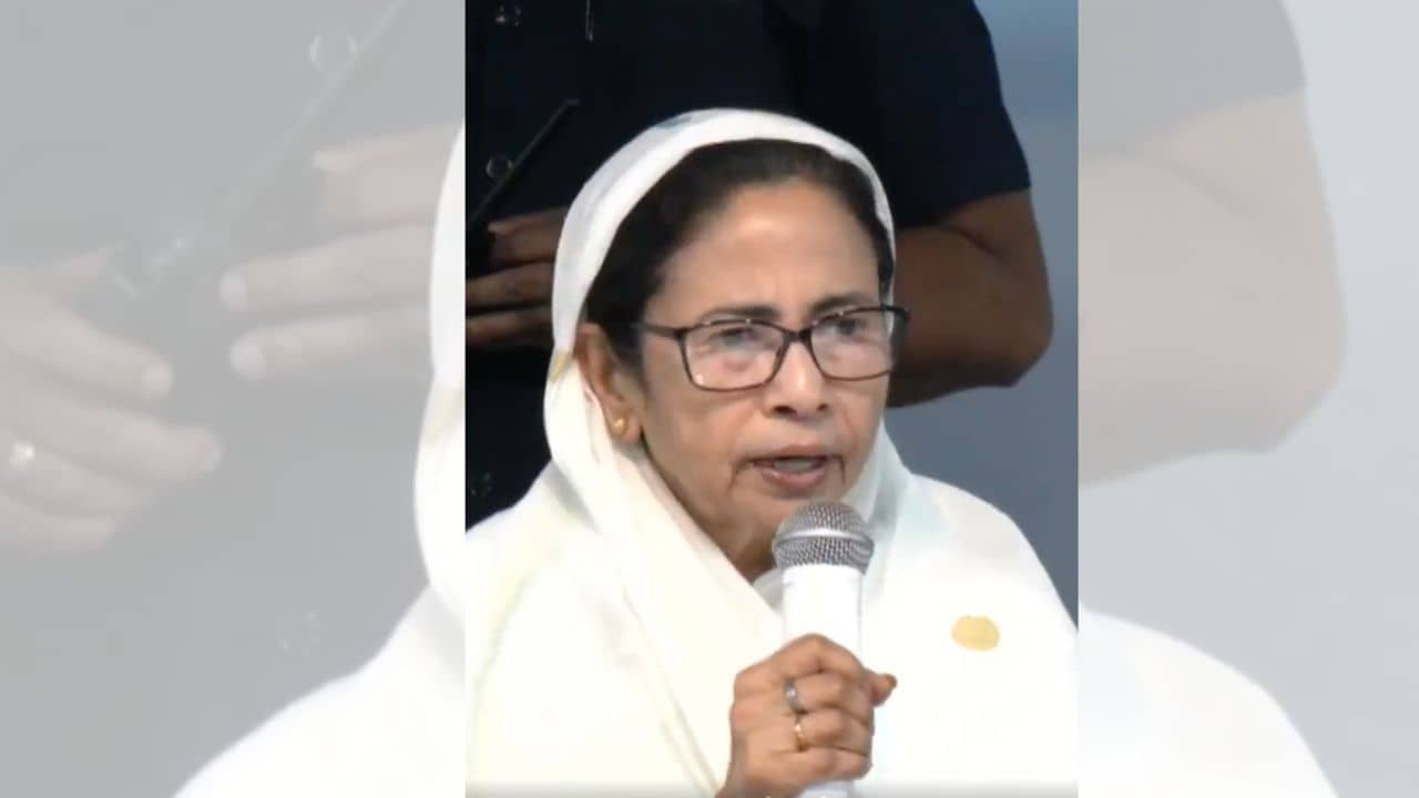 Mamata Banerjee: যখন দুর্গাপুজোয় যাই তখন তো প্রশ্ন করেন না?, ফুরফুরা থেকে সমালোচকদের একহাত নিলেন মমতা