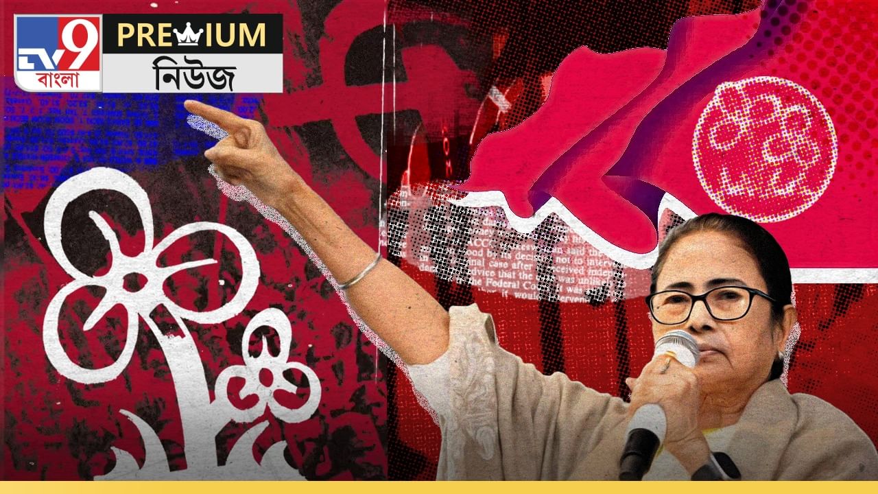 Explained: সত্যিই কি লাতিন আমেরিকার 'কমরেড' মমতা?