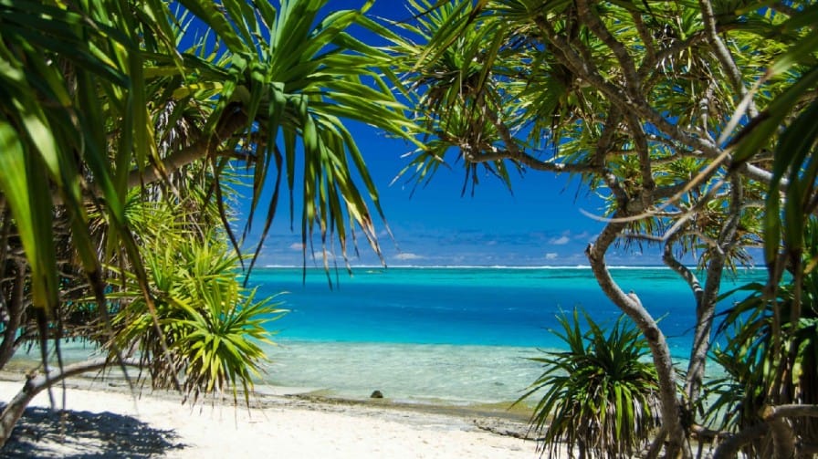 ১. কোথায় ভানুয়াতু দ্বীপ?:   দক্ষিণ প্রশান্ত মহাসাগরীয় অঞ্চলে ফিজি ও অস্ট্রেলিয়ার মাঝে মাত্র ১২ হাজার বর্গকিলোমিটার এলাকাজুড়ে এই দ্বীপটির আয়তন। রাজধানী পোর্ট ভিলা। 