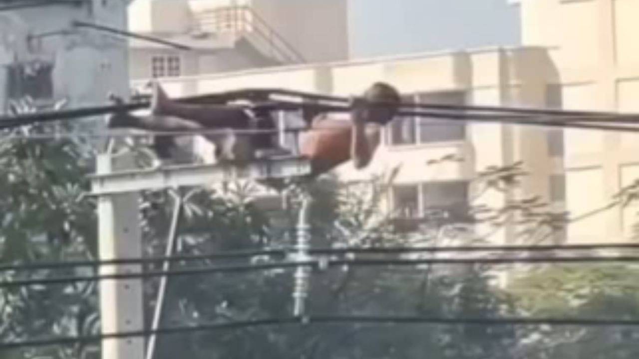 Viral: এমনই ক্ষমতা! পরনে হাফপ্যান্ট, হাই ভোল্টেজ বিদ্যুতের তারে ঝুলেই যুবক কিনা...দৃশ্য দেখলে শিউরে উঠবেন