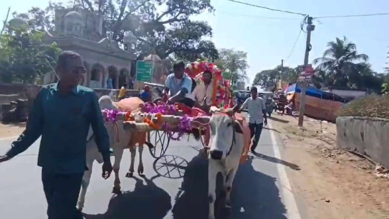 Purba Bardhaman: ঝাঁ চকচকে রাস্তায় ক্যাঁচর ক্যাঁচর শব্দ, নতুন বউ নিয়ে গরুর গাড়িতে ফিরলেন বর