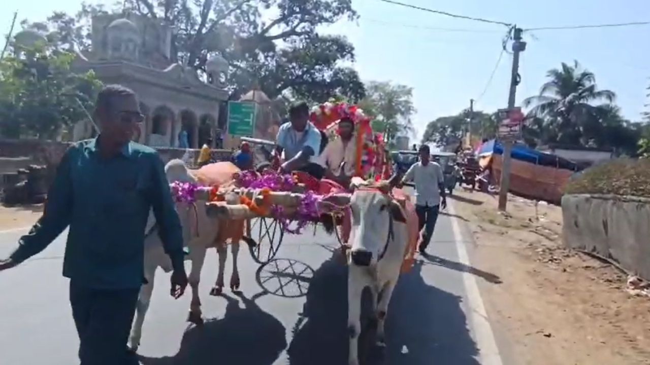 Purba Bardhaman: ঝাঁ চকচকে রাস্তায় ক্যাঁচর ক্যাঁচর শব্দ, নতুন বউ নিয়ে গরুর গাড়িতে ফিরলেন বর Purba Bardhaman: ঝাঁ চকচকে রাস্তায় ক্যাঁচর ক্যাঁচর শব্দ, নতুন বউ নিয়ে গরুর গাড়িতে ফিরলেন বর