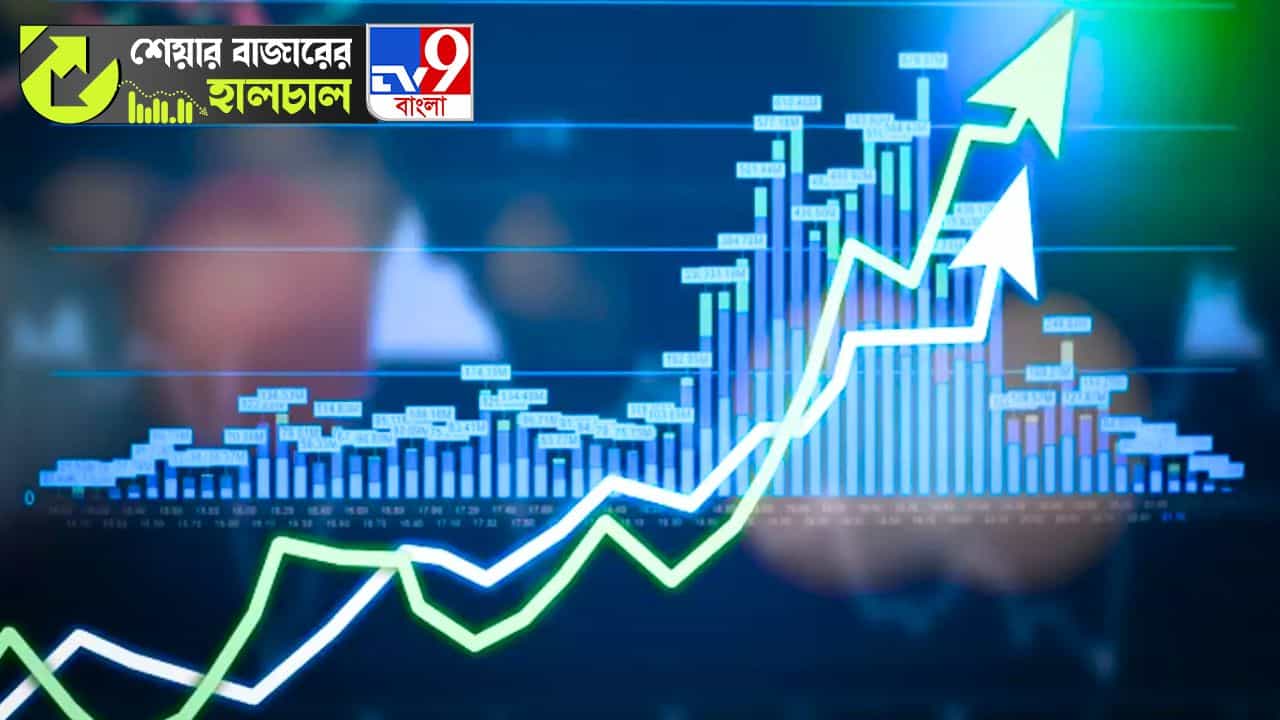 Share Market News: বেঞ্চমার্ক সূচক না বাড়লেও আজ বেড়েছে ভারতের একাধিক সূচক!