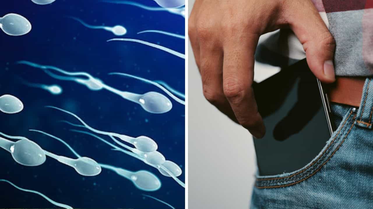 Sperm Production: প্যান্টের পকেটে মোবাইল রাখেন? অজান্তেই পুরুষাঙ্গের কোন মারাত্মক ক্ষতি করছেন জানেন? Sperm Production: প্যান্টের পকেটে মোবাইল রাখেন? অজান্তেই পুরুষাঙ্গের কোন মারাত্মক ক্ষতি করছেন জানেন?