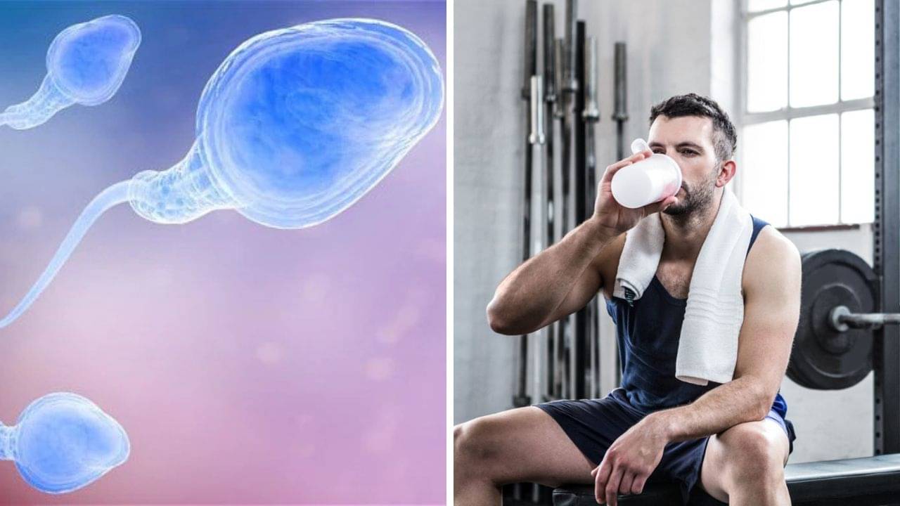 Male Infertility: জিমে যান, প্রোটিন সাপ্লিমেন্ট খান? বীর্য কার্য হারাচ্ছে না তো?