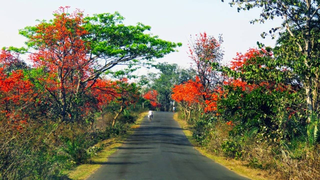 Holi Special Travel Destinations: খরচ মাত্র ৩০০ টাকা, বসন্তের আমেজ উপভোগ করতে চাইলে দোলেই ঘুরে আসুন এই জায়গায়
