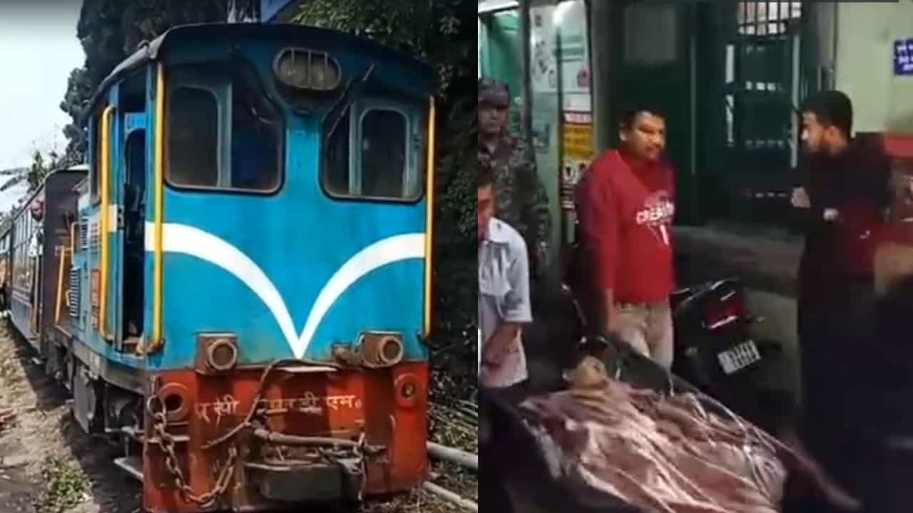 Toy Train: যুবতীকে ধাক্কা মেরে টেনে নিয়ে গেল টয়ট্রেন, শোরগোল কার্শিয়াঙে