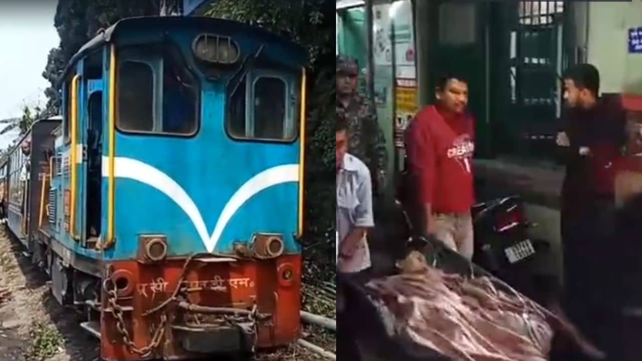 Toy Train: যুবতীকে ধাক্কা মেরে টেনে নিয়ে গেল টয়ট্রেন, শোরগোল কার্শিয়াঙে