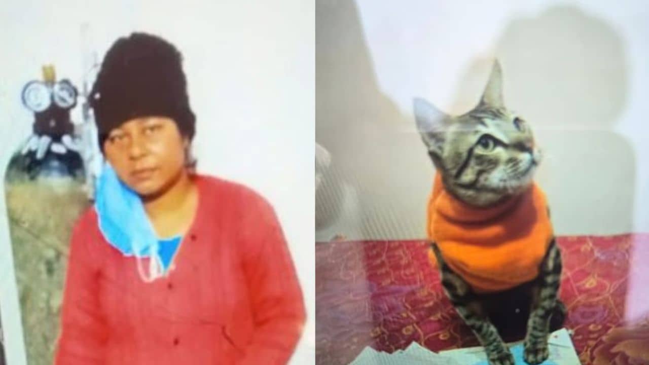 Uttar Pradesh: মরা বিড়ালের সঙ্গে ঘরের ভিতরে...যুবতীর কাণ্ডে মাথায় হাত পড়বে আপনার