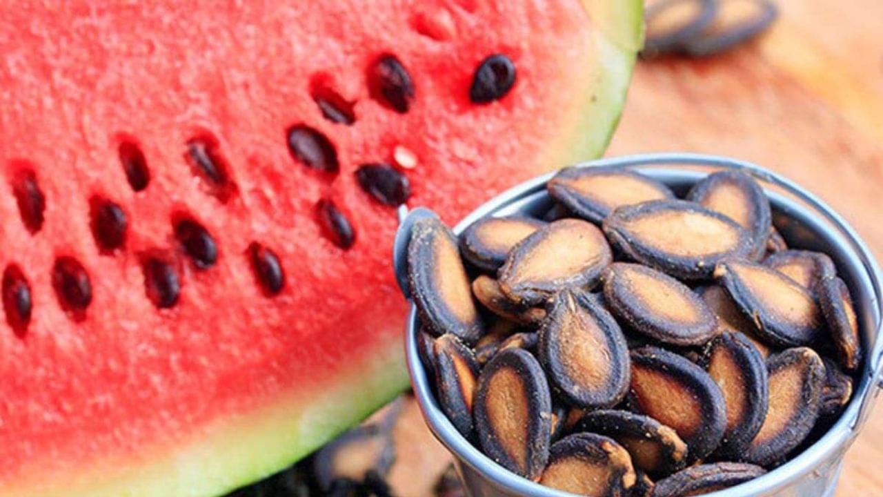 Watermelon Seeds: প্রতিদিন এক মুঠো তরমুজের বীজ খান! শরীর জুড়ে চলবে অন্য খেলা