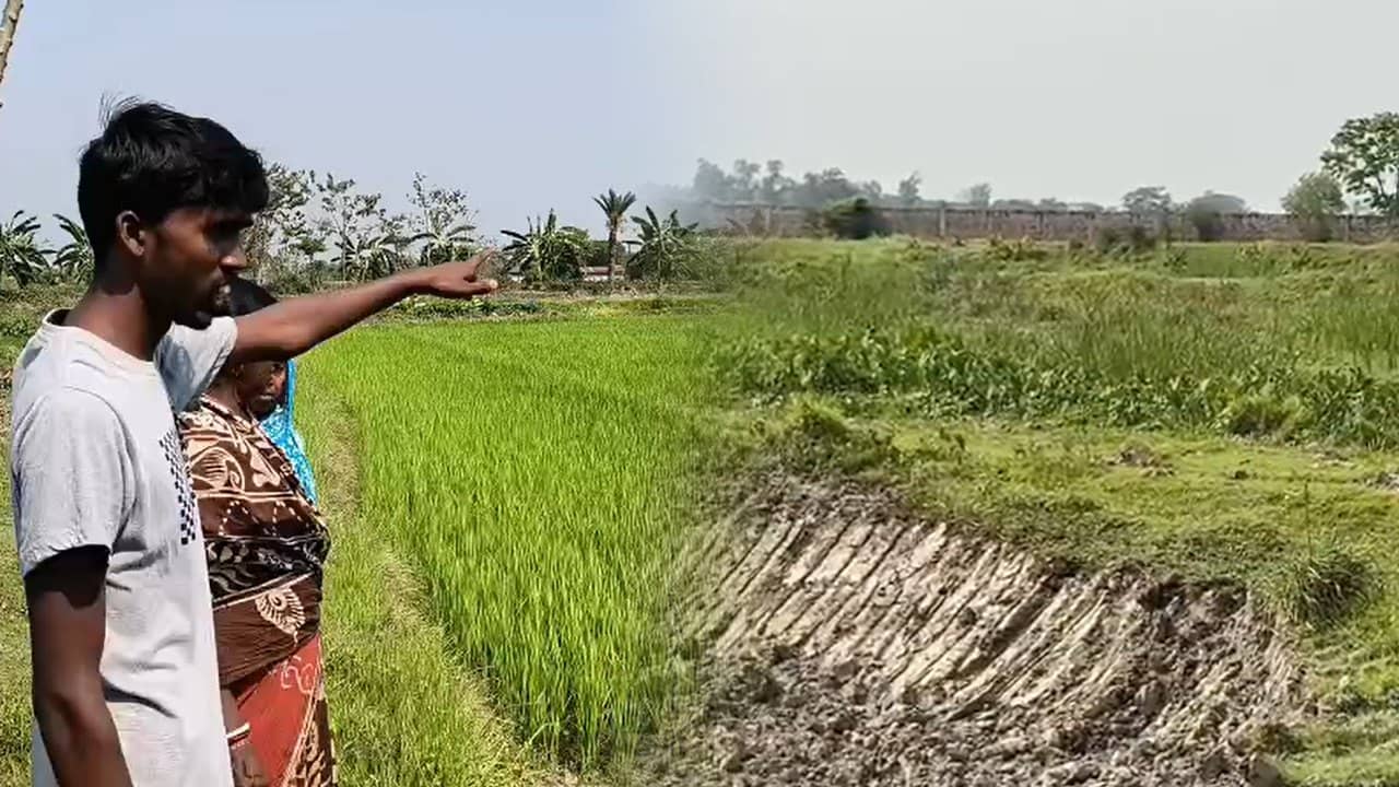 Kolkata: রাতারাতি বদলে যাচ্ছে জমির চরিত্র! ‘খেলা হচ্ছে’ জলাজমিতে, কাঠগড়ায় শাসকদলের দাপুটে নেতা