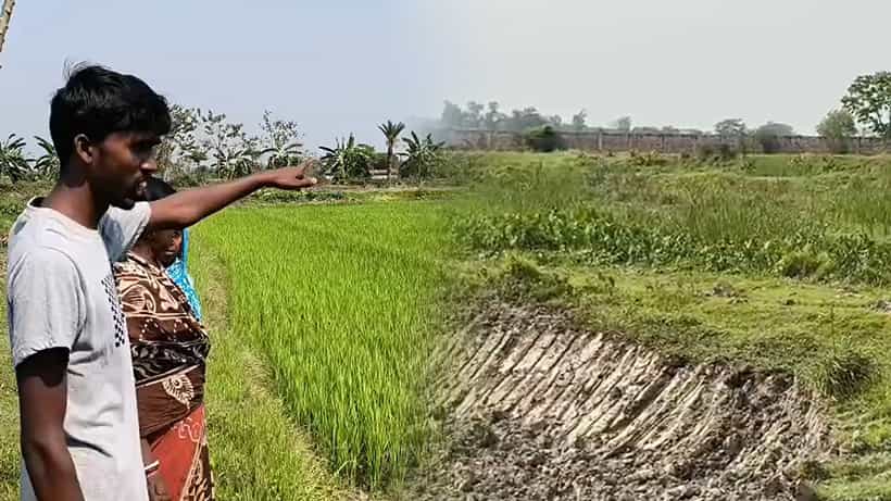 Kolkata: রাতারাতি বদলে যাচ্ছে জমির চরিত্র! ‘খেলা হচ্ছে’ জলাজমিতে, কাঠগড়ায় শাসকদলের দাপুটে নেতা