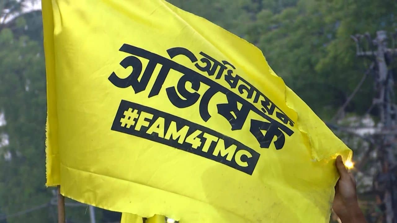 Abhishek Banerjee: অধিনায়ক অভিষেক, দক্ষিণ কলকাতায় ছেয়ে গেল পতাকা! নয়া ফর্মে সেকেন্ড-ইন-কমান্ড