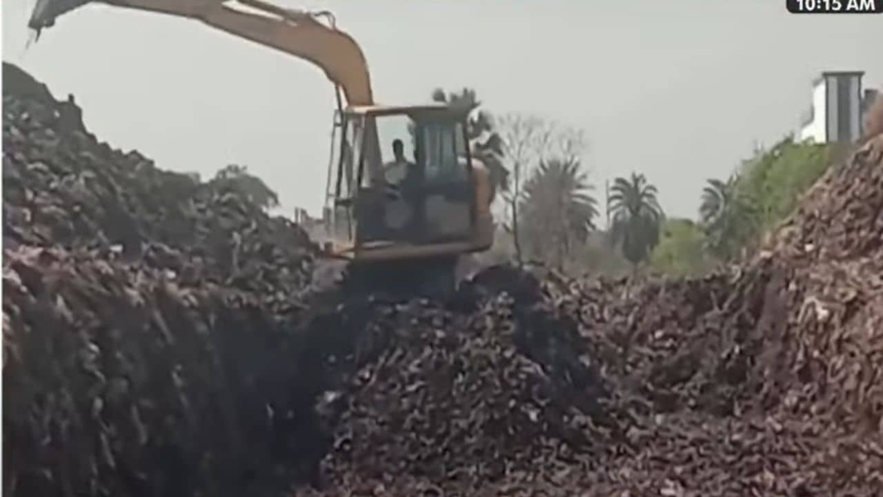 Berhampore: বেলগাছিয়ার ছায়া বহরমপুরে, পাহাড়প্রমাণ বর্জ্য স্তূপ ফেটে বেরোচ্ছে সাদা ধোঁয়া