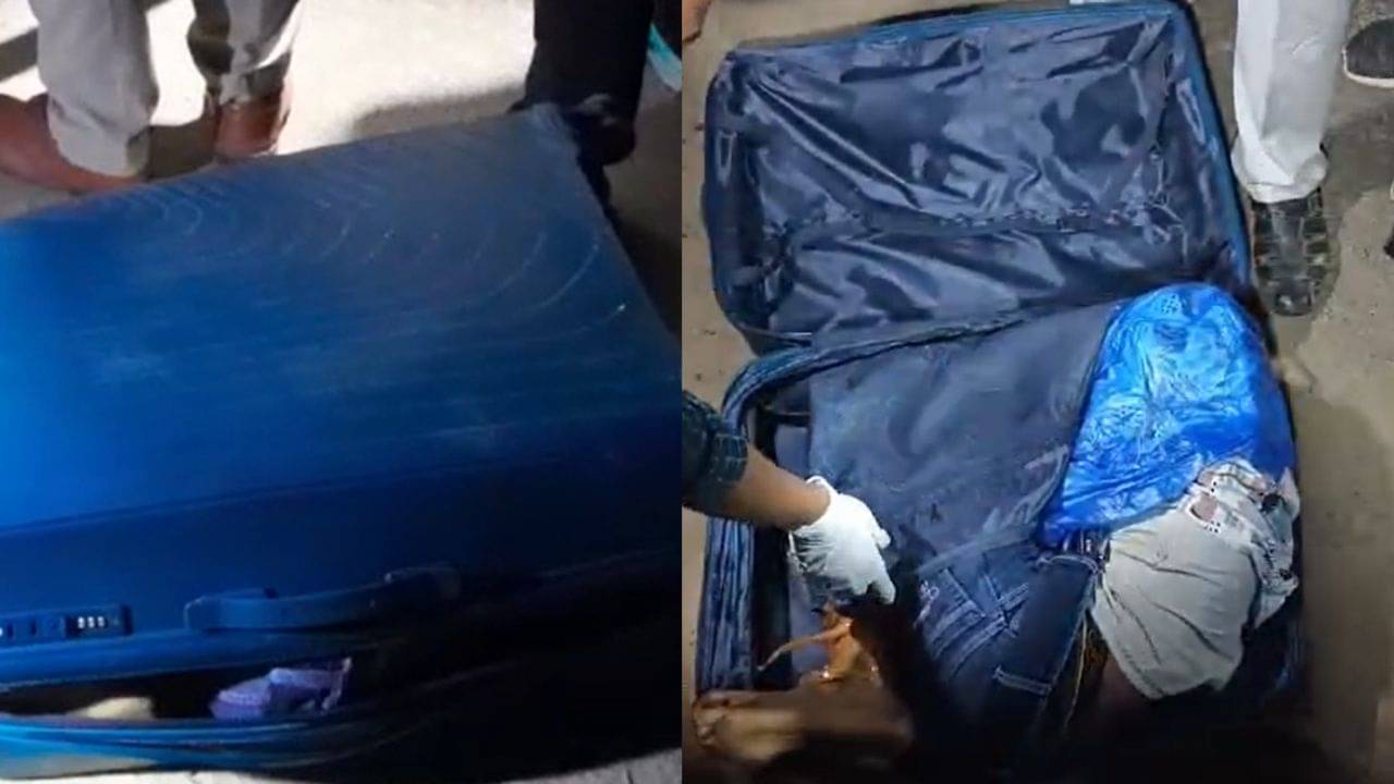 Ghola: ট্রলি ব্যাগ এত ভারী কেন?, ক্যাব চালকের প্রশ্নেই সামনে এল সবটা