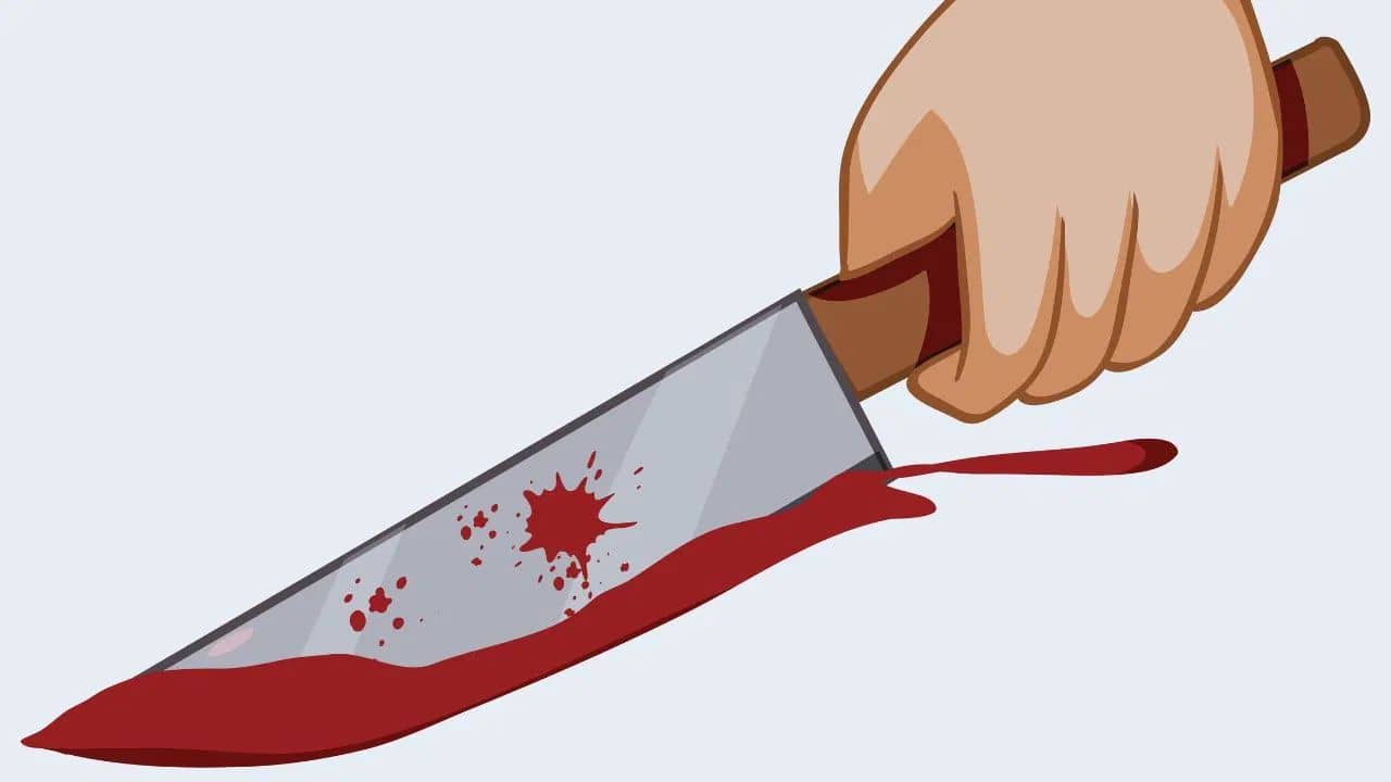 Murder: কথা রাখেনি ভাই, এলোপাথাড়ি ছুরির কোপে খুন করল দাদা