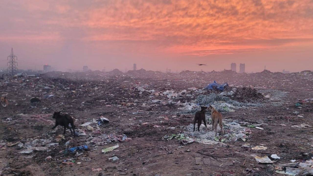 Calcutta municipal corporation: বড় বিপদ কি এবার কলকাতাতেও? হতে পারে হওড়ার মতো দশা?