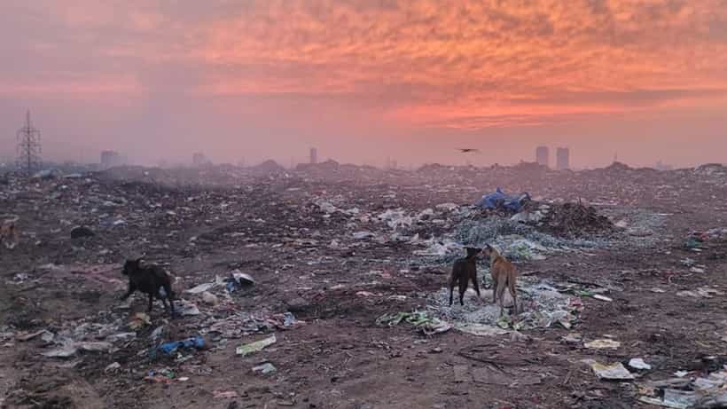Calcutta municipal corporation: বড় বিপদ কি এবার কলকাতাতেও? হতে পারে হওড়ার মতো দশা?