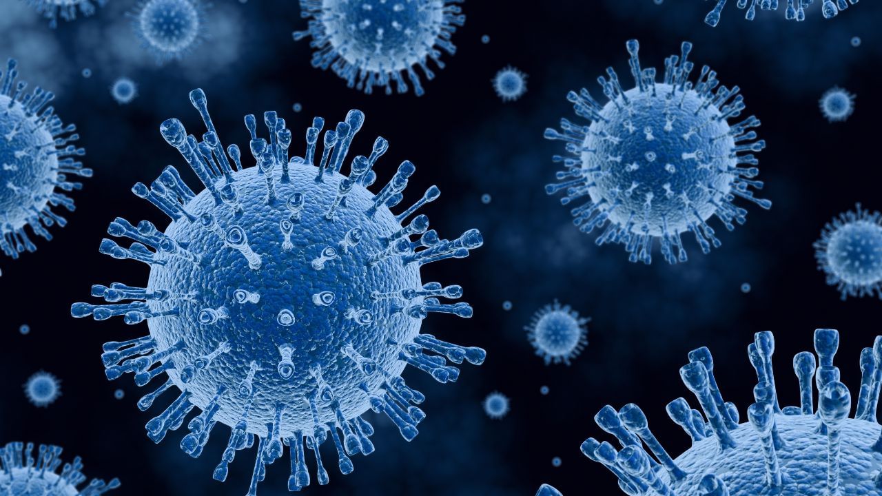 H1N1 Virus: মানবদেহে ঢুকে পড়ল শুয়োরের রোগ! নতুন বছরেই দেশে আক্রান্ত ৫১৬ জন, মৃত্যু ৬