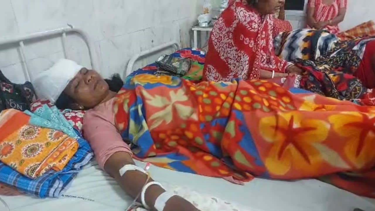 Alipurduar: অতর্কিতে হামলা, মহিলা চা শ্রমিকের বুকের জোরে প্রাণ নিয়ে পালাল চিতাবাঘ