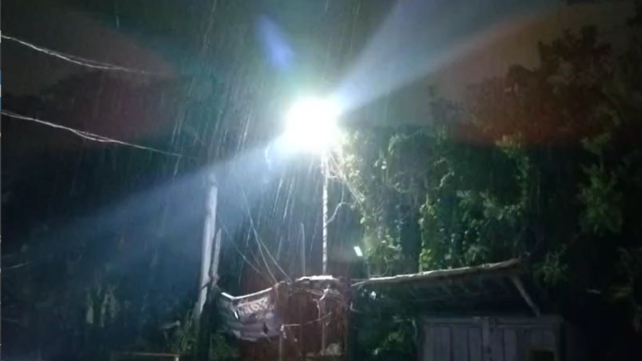 Bankura: দিঘার জগন্নাথ মন্দির উদ্বোধন অনুষ্ঠানে যাওয়ার আগেই গাছ পড়ে আহত ৭ Bankura: দিঘার জগন্নাথ মন্দির উদ্বোধন অনুষ্ঠানে যাওয়ার আগেই গাছ পড়ে আহত ৭