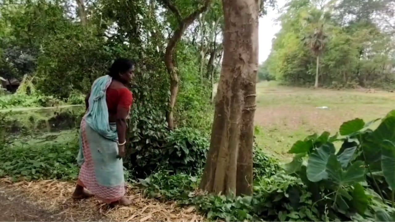 Bomb Recover: ঘরের দুয়ার খোলার পরেই চোখ কপালে, এটা কী দেখলেন বিজেপি নেতা