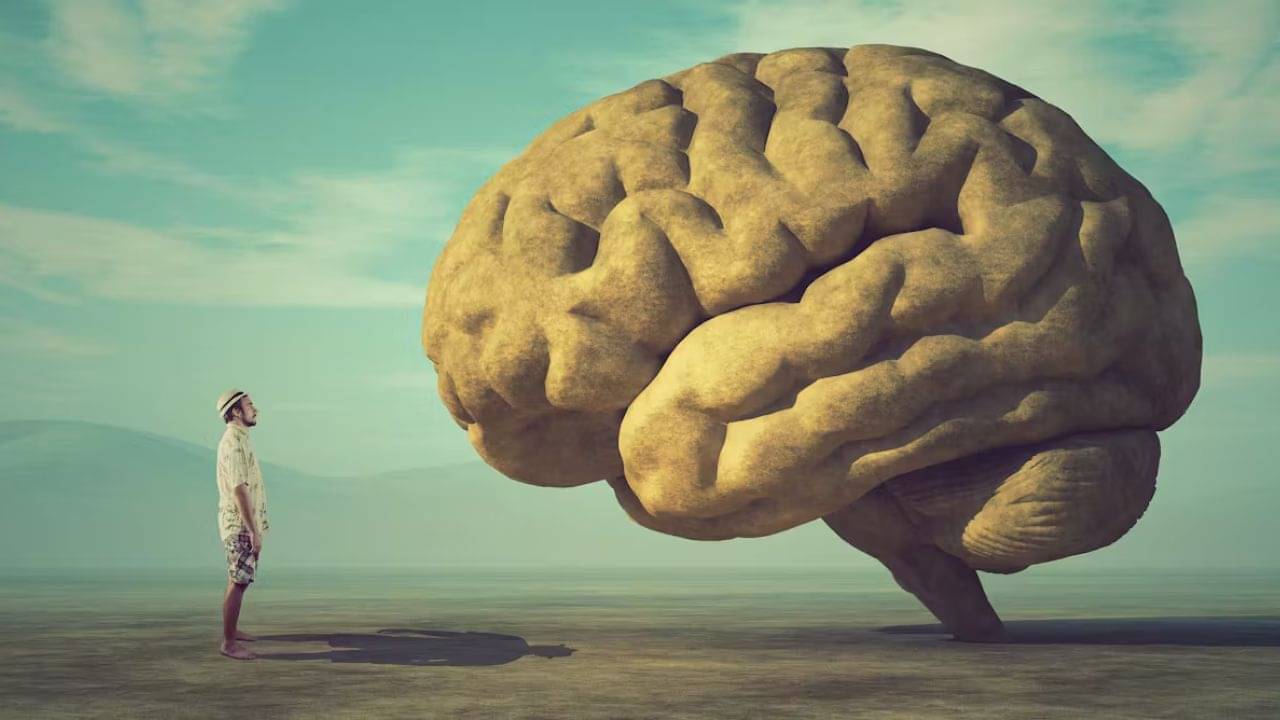 Bizarre: সত্যি সত্যি হাঁটুতেই মস্তিষ্ক থাকে এই ৫ প্রাণীর!