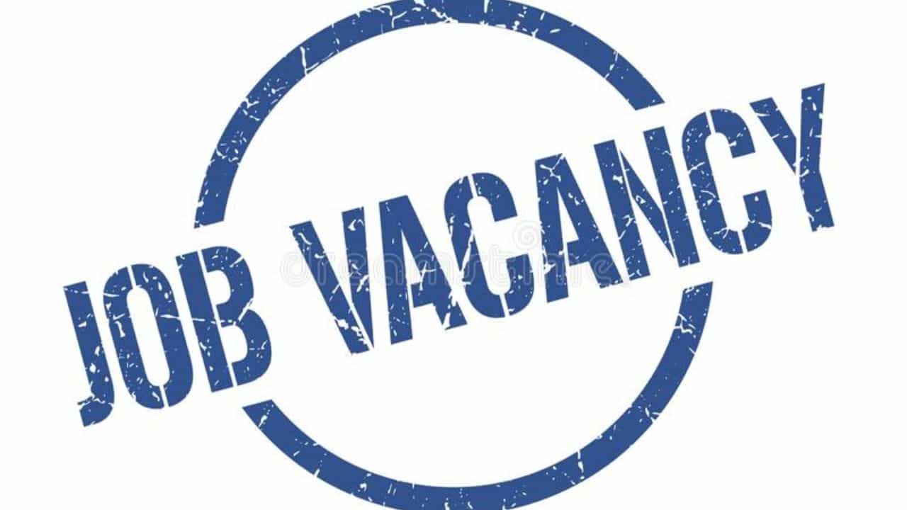 Job Vacancy: লেখালিখির ঝোঁক রয়েছে? সরকার অধীনস্থ সংস্থায় রয়েছে কাজের সুযোগ! কী ভাবে করবেন আবেদন? Job Vacancy: লেখালিখির ঝোঁক রয়েছে? সরকার অধীনস্থ সংস্থায় রয়েছে কাজের সুযোগ! কী ভাবে করবেন আবেদন?