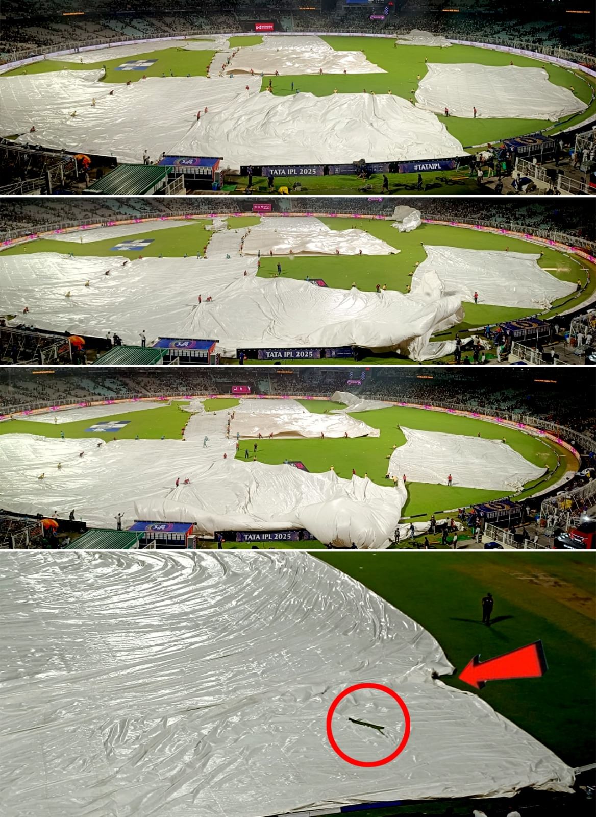 EDEN GARDENS