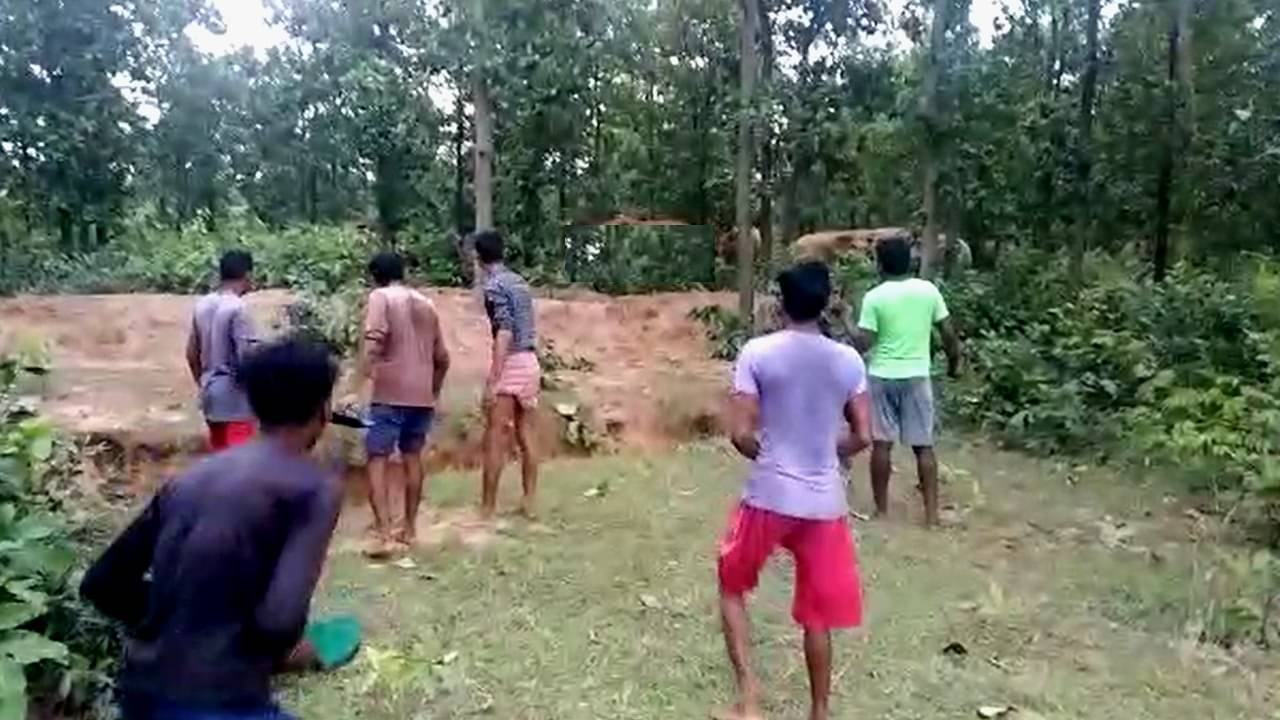 Border Village: কখনও ওরা প্রায় ৬০, কখনও আবার ২০! রাত হলেই ঢুকছে দলবেঁধে, আতঙ্কে কাঁটা ‘সীমান্তের’ একের পর এক গ্রাম