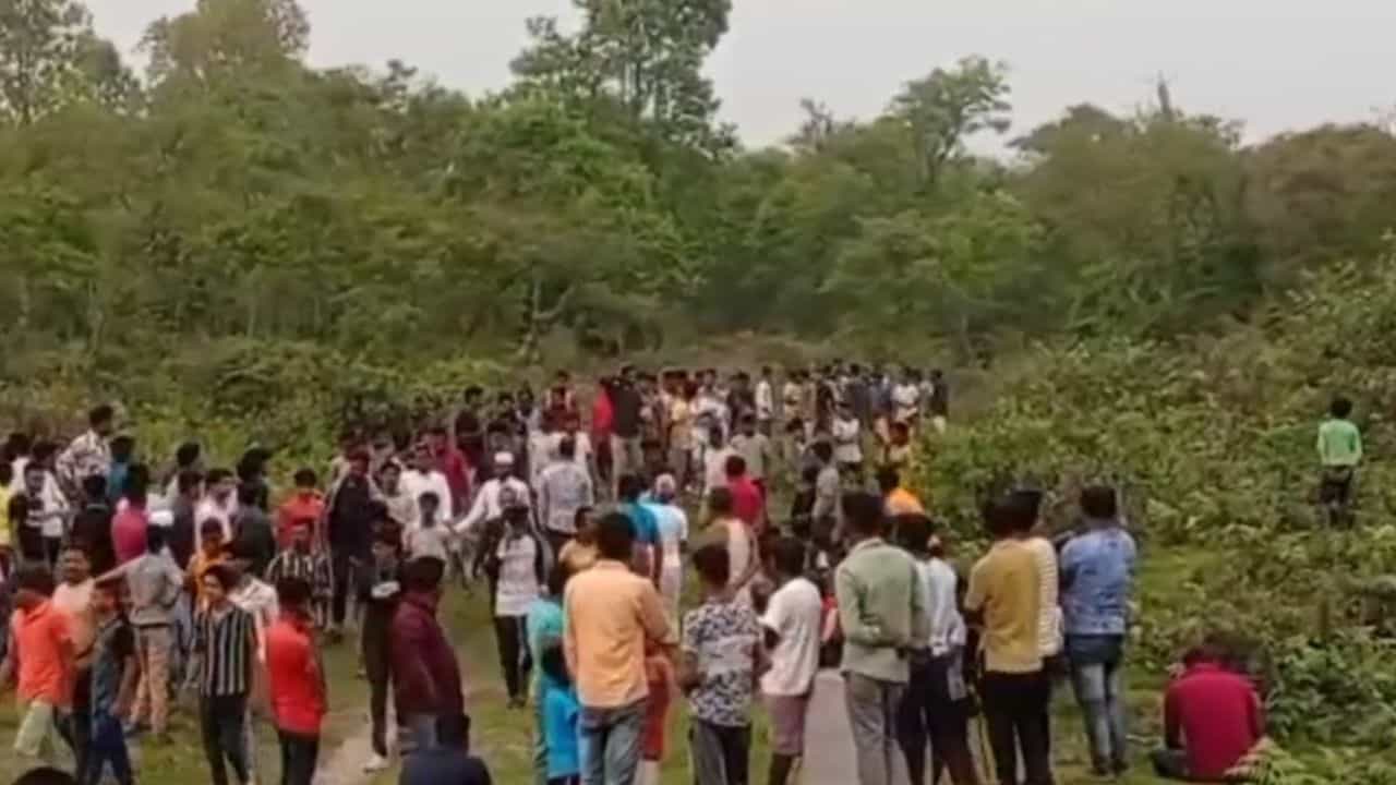 Elephant attack: জঙ্গলে জ্বালানি কাঠ সংগ্রহে গিয়ে হাতির মুখোমুখি, মৃত ২ Elephant attack: জঙ্গলে জ্বালানি কাঠ সংগ্রহে গিয়ে হাতির মুখোমুখি, মৃত ২