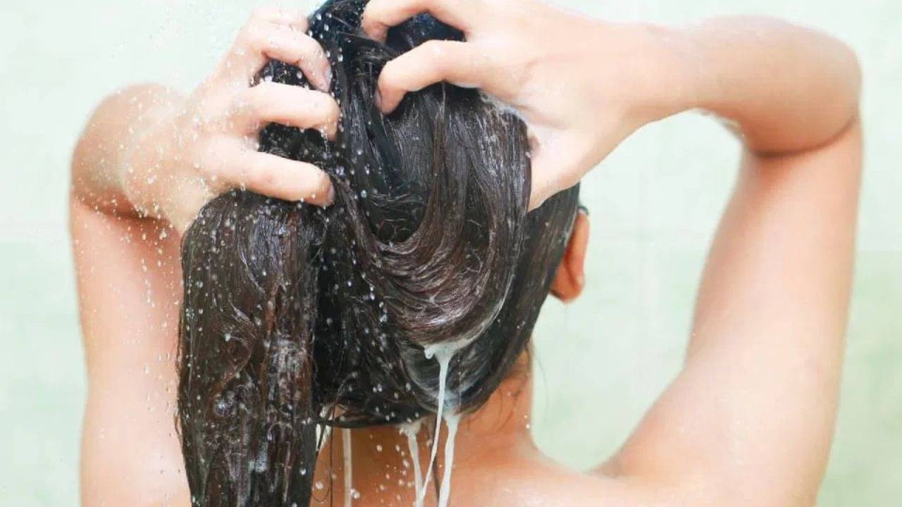 Hair Care Tips: জলে আয়রন বেশি, নষ্ট হয়ে যাচ্ছে সব চুল? কী ভাবে মিলবে মুক্তি?