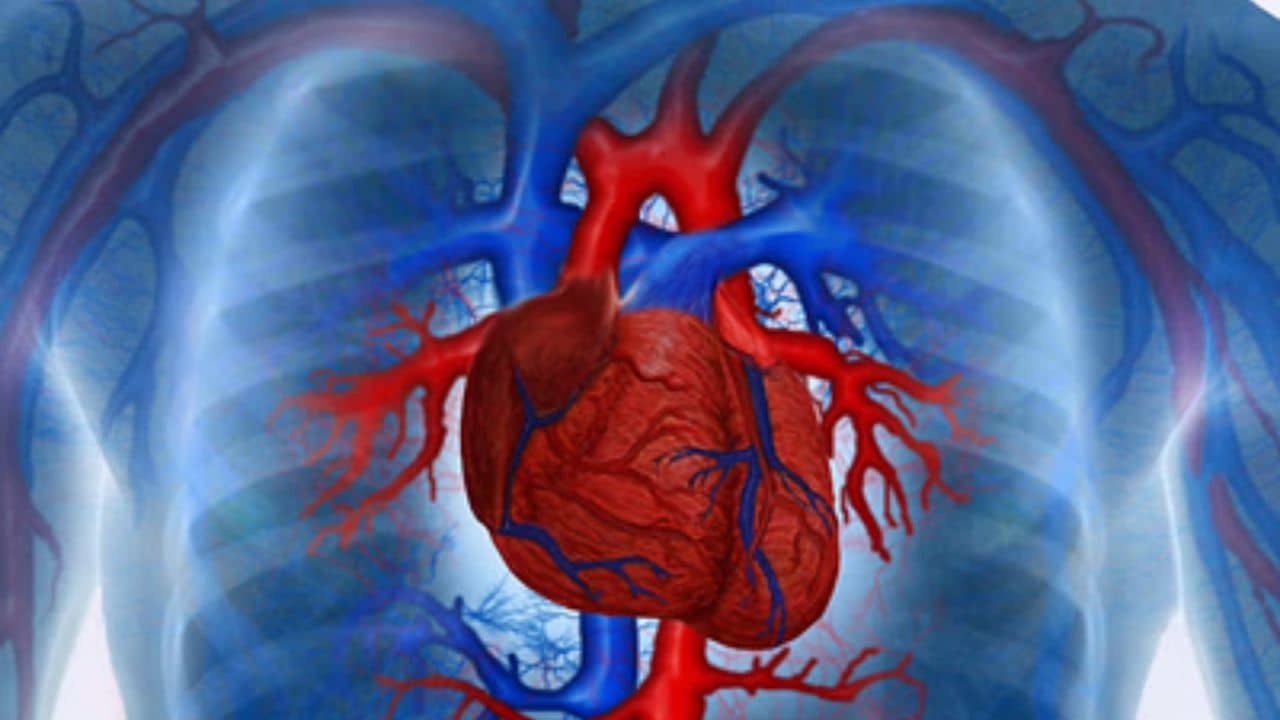 Heart Health In Summer: গরমেই বেড়ে যায় হার্ট অ্যাটাকের ঝুঁকি! হৃদয়কে শান্ত রাখবেন কী ভাবে?