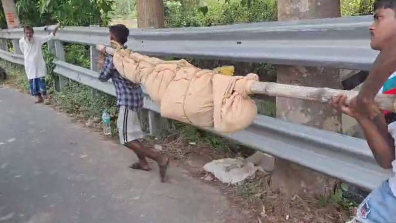 Hooghly: মানুষের কাটা মুন্ডু নিয়ে ঘুরছে কুকুর! পরে যা জানা গেল হাড়হিম হওয়ার জোগাড়